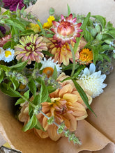 Load image into Gallery viewer, Solstice Flower Works Dahlia Bouquet CSA